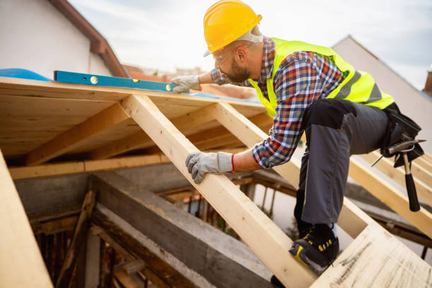 Best Roof Maintenance Services  in Pemberville, OH